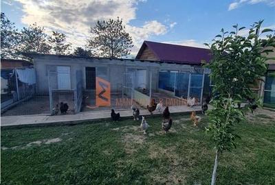 EXCLUSIVITATE! Casa + teren zona Smeeni - 17
