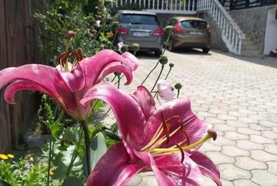 Spațiu comercial, de 400 mp, în Văliug - 3