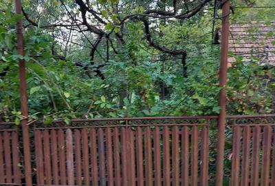 Casă cu Teren 2500 Mp în Central - 5