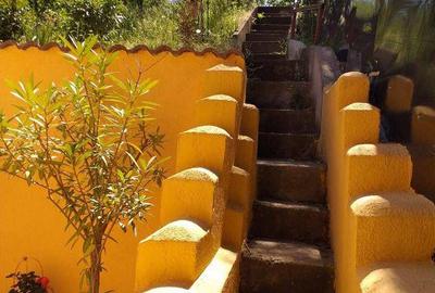 Casa Eoiscopia Bihor - 11