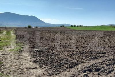 Teren de 15000 mp, în Central - 2