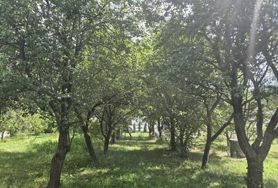 Casă cu 4 camere în Central - 1