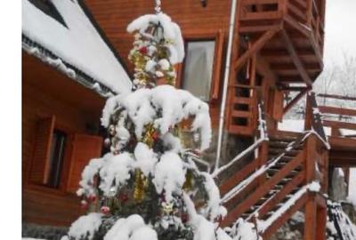 Casa - Vila Rustica - Casa de locuit sau Pensiune - 12