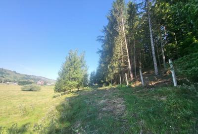 Teren, Ideal pentru Investitie Sau Dezvoltare - 18