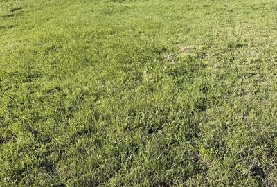 Spațiu comercial, în Central - 1