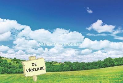 Vanzare teren industrial Brane?ti Padure, - 2