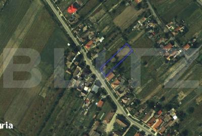 Casă cu 2 camere cu Teren 1399 Mp în Micula - 6