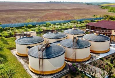 Crama din Buciumeni Afacere la cheie - 3