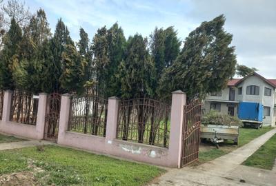 Casă individuală cu 5 camere cu Teren 1070 Mp în Dridu - 10