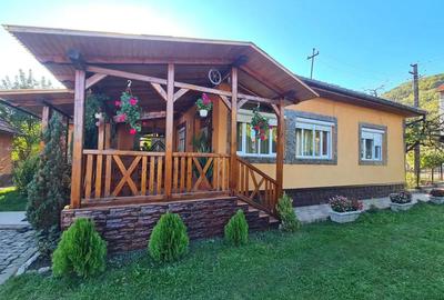 Casă cu 3 camere în Criș - 5