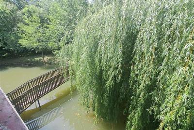 RECO, Cabana pe apa in Padurea Neagra, Bihor - 10