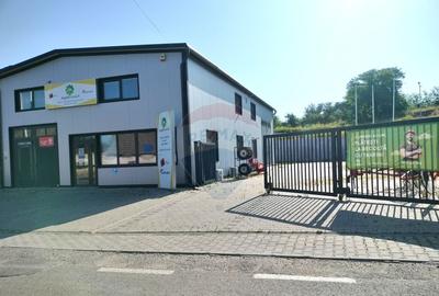 Spa?iu industrial (comercial) de vanzare, construc?ie ... - 4