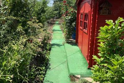 Casa vacanza Iepuresti(Giurgiu) - 1