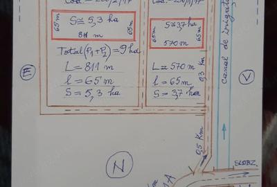Teren de 90000 mp, în Bărăganul - 1