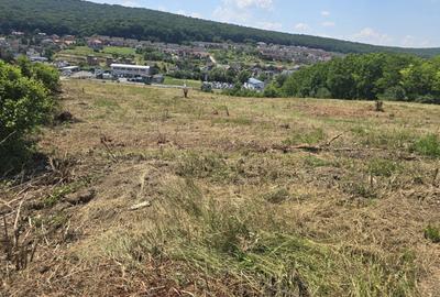 Teren Construcții intravilan de 16476 mp, în Corunca - 13