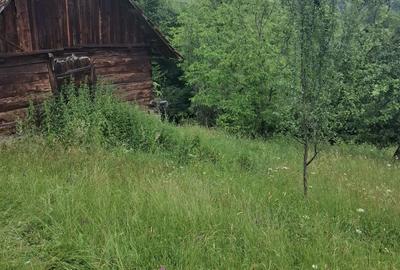 Teren de 2000 mp, în Hălmăgel