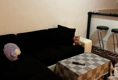 Garsonieră în Brazda lui Novac