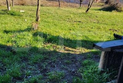 Spațiu comercial, în Cionchești