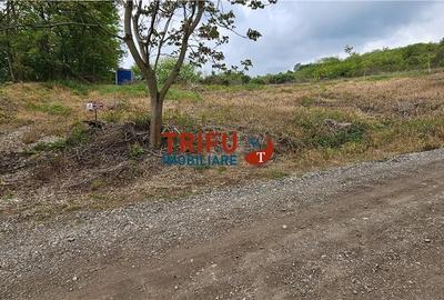 Teren de 1250 mp, în Cetate