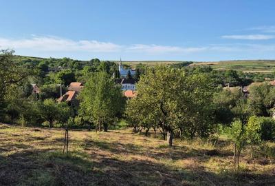 Casă cu 3 camere în Filea de Jos - 5