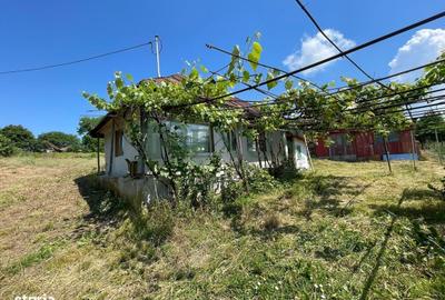 Casă cu 2 camere în Hertioana de Jos - 6