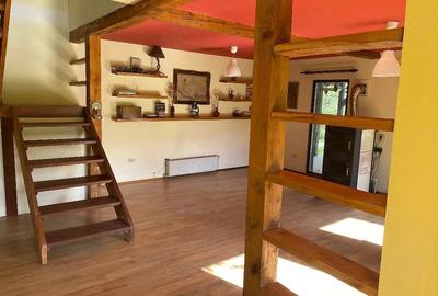 Casă cu 3 camere cu Teren 2125 Mp în Vechea - 5