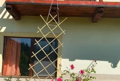 Zarnesti, Bran Zarnesti, Bran - 3