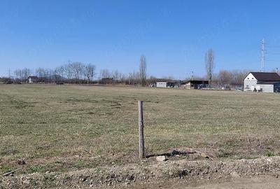 Teren de 11000 mp, în Prejmer - 2