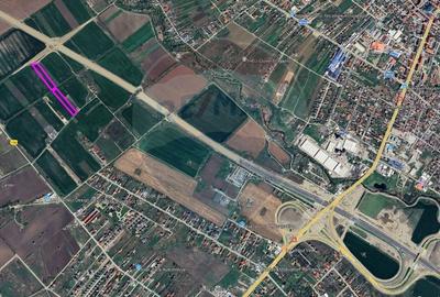 Teren intravilan 7288 mp, Bragadiru - 3