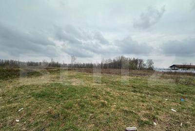 Teren intravilan de vanzare, 4.844 mp, zona Scheia - 2