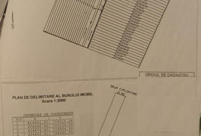Teren de 5000 mp, în Centură - 1