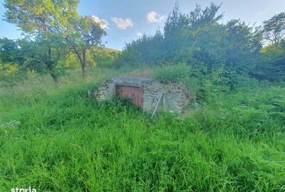 Teren de 16000 mp, în Todirești - 7