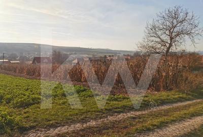 Teren intravilan 1152 mp in Rusi, cu acces la doua drumuri si utilitati in fata - 3