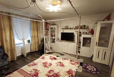 Casa 3 camere teren in Pojejena, jud. Caras Severin - 10