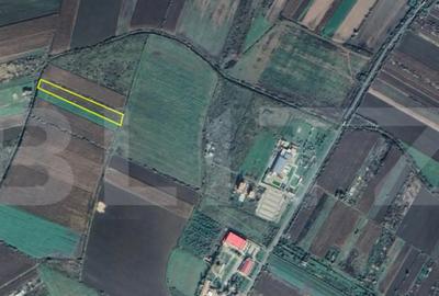 Teren de 5939 mp, în Central