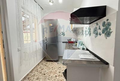 Casa / Vila cu 3 camere de inchiriat in zona Giurgiului - 8