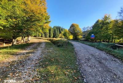 Teren de 7160 mp, în Central - 5