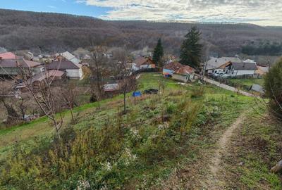 Teren de 1665 mp, în Făgetu - 3