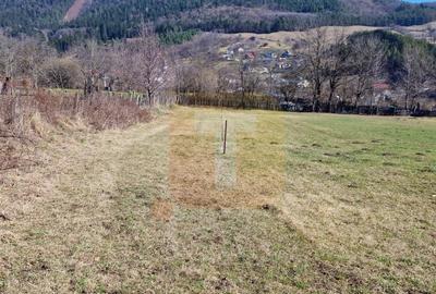 Teren intravilan de 4.000 mp în Bistrița – Alexandru cel Bun - 12