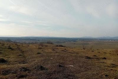 Teren - 7.132 mp zona deosebita , str Alexandru cel Bun - 7