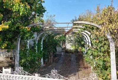 Casă cu 3 camere în Ostroveni - 1