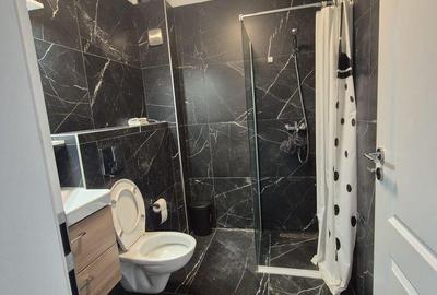 Apartament cu 2 camere decomandat în Ozana