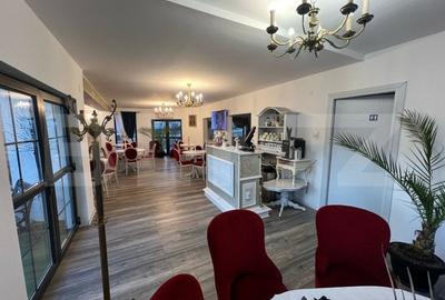 Casa de vanzare, plus afacere la cheie, la 25 de KM de Bistrita Casa de vanzare, plus afacere la cheie, la 25 de KM de Bistrita - 11