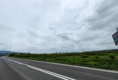 Teren de 6000 mp, în Central - 2