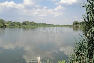 Teren Construcții intravilan de 7850 mp, în Snagov - 3