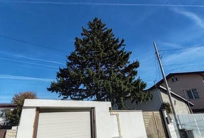 Spațiu birouri + depozitare în Jilava – ideal firmă, magazin on-line - 21