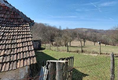 Casă cu Teren 6580 Mp în Zece Hotare - 6