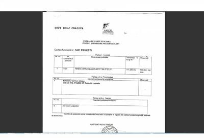 Teren investiție, de 110,000 mp, în Pielești - 3