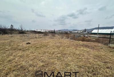 Teren intravilan cu PUZ 600mp zona Broscarie - 1