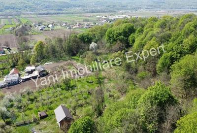 Teren de vanzare in Baicule?ti, Judet Arge?. - 6